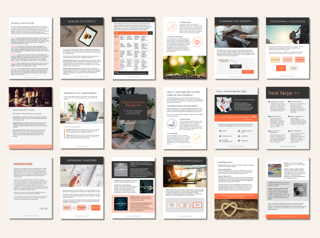 [MRR] Digital Growth Blueprint: Effective Strategies to Scale Your Online Business